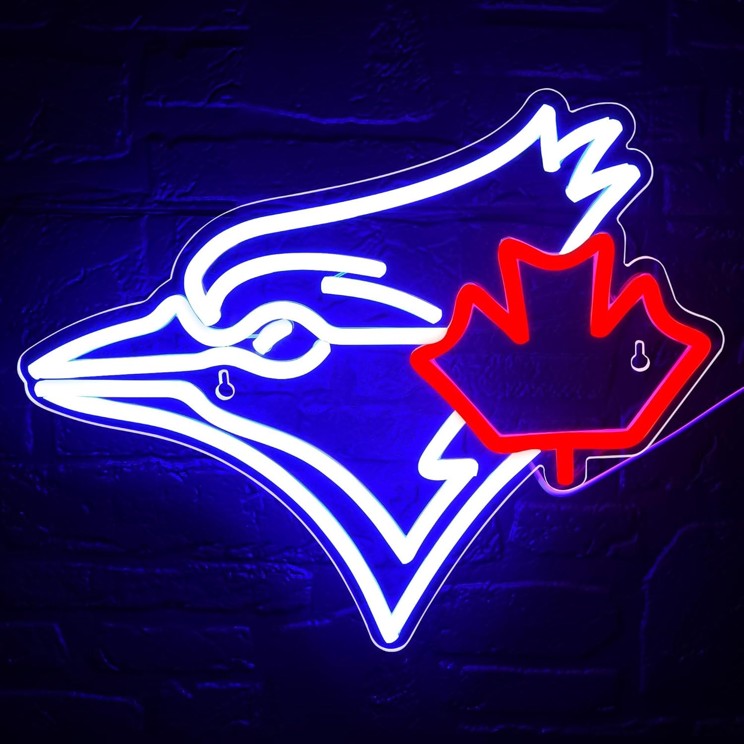 USB Dimmable Blue Jay with Map - огляд і ціна Jay Lighting Decor