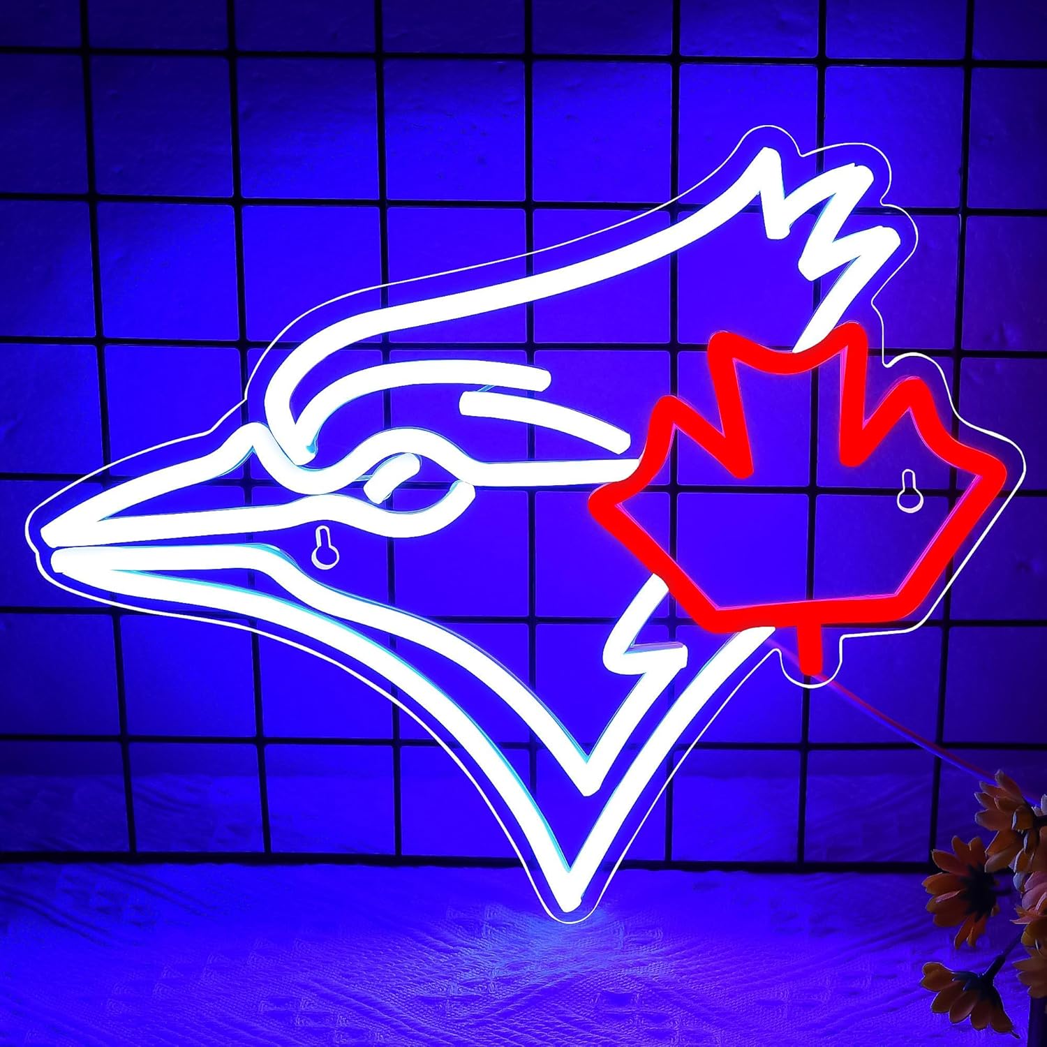 USB Dimmable Blue Jay with Map - огляд і ціна Jay Lighting Decor